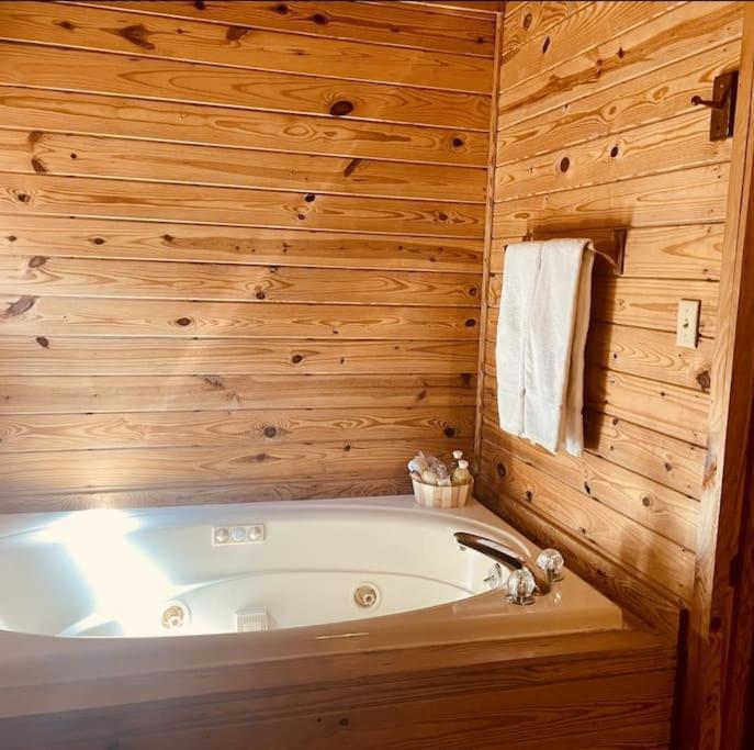 Rustic Black Bear Cabin 鸽子谷 外观 照片