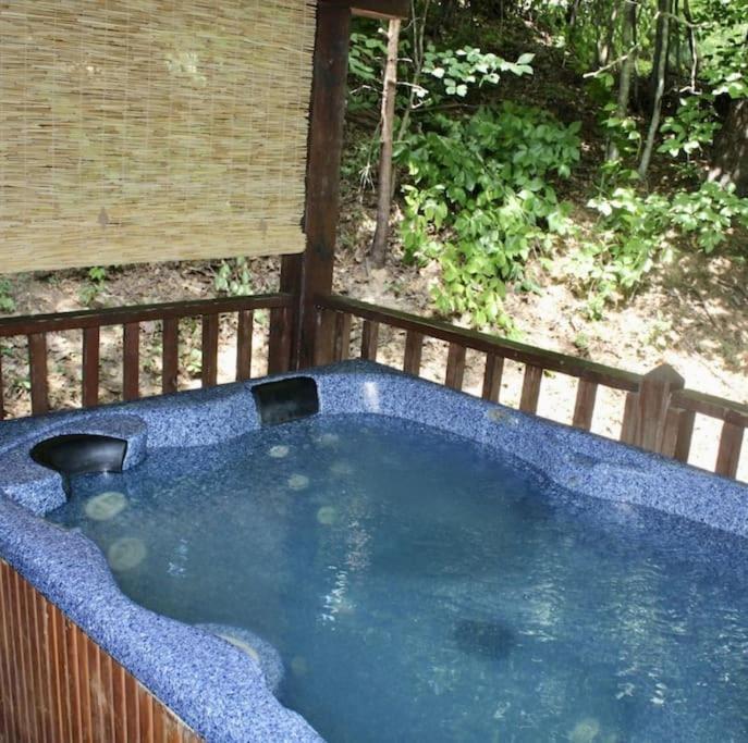 Rustic Black Bear Cabin 鸽子谷 外观 照片